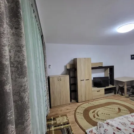 Apartamento Timisoara Studio