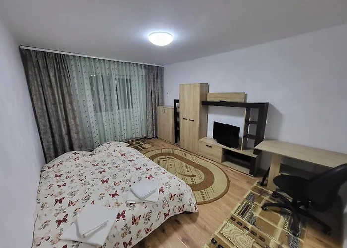 Timisoara Studio Apartamento Timişoara