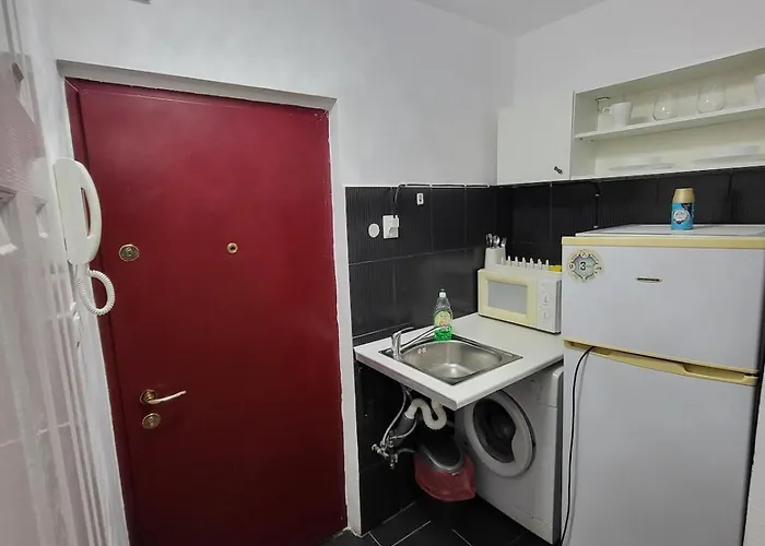 Timisoara Studio Apartamento