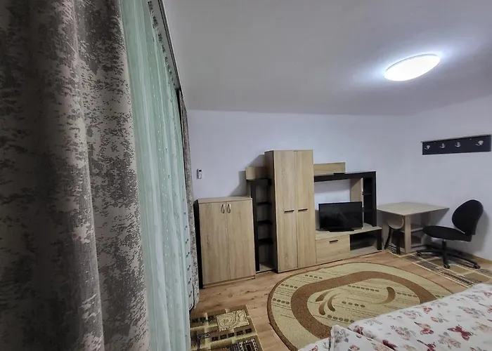 Lägenhet Timisoara Studio